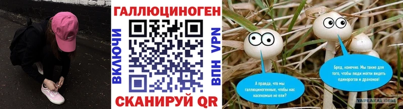 где продают   Североуральск  Галлюциногенные грибы Magic Shrooms 