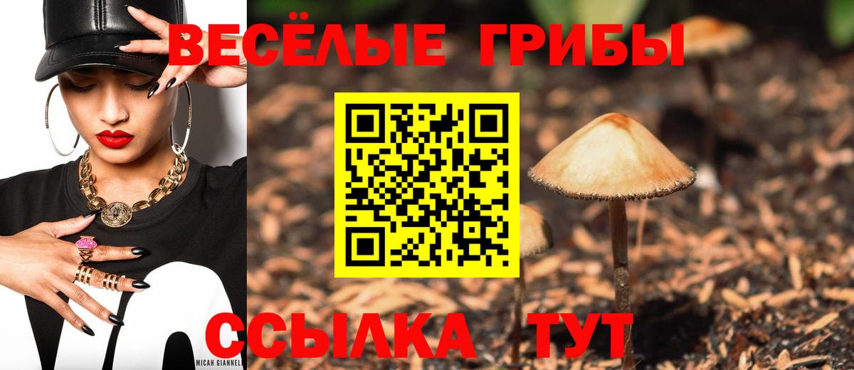 Галлюциногенные грибы Cubensis  купить наркотик  Североуральск  Вход с VPN 